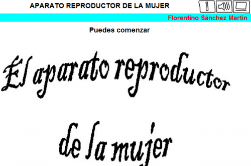 http://cplosangeles.juntaextremadura.net/web/edilim/tercer_ciclo/cmedio/las_funciones_vitales/la_funcion_de_reproduccion/el_aparato_reproductor_de_la_mujer/el_aparato_reproductor_de_la_mujer.html