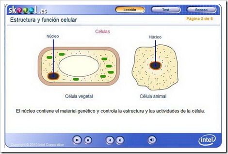 http://www.skoool.es/content/los/biology/cell_structure/launch.html