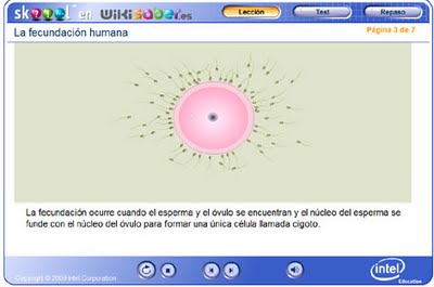 http://wikisaber.es/Contenidos/LObjects/human_fert/index.html