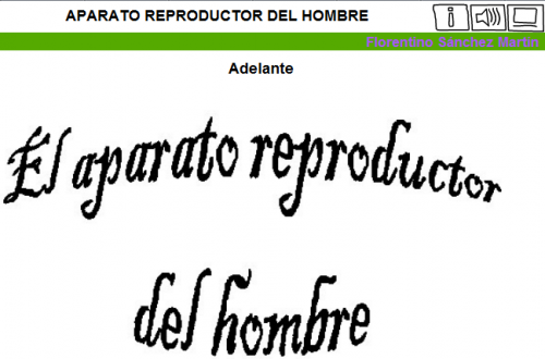 http://cplosangeles.juntaextremadura.net/web/edilim/tercer_ciclo/cmedio/las_funciones_vitales/la_funcion_de_reproduccion/el_aparato_reproductor_del_hombre/el_aparato_reproductor_del_hombre.html