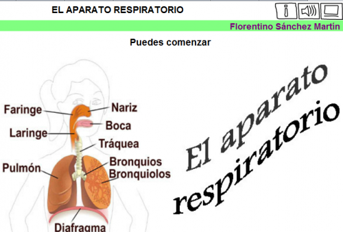 http://cplosangeles.juntaextremadura.net/web/edilim/tercer_ciclo/cmedio/las_funciones_vitales/la_funcion_de_nutricion/respiracion/el_aparato_respiratorio/el_aparato_respiratorio.htmL